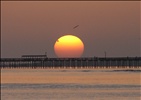 Lynnhaven fishing pier at Sunrise with Gulls